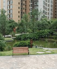 北滨路看了几个盘,纠结龙湖春森彼岸还是珠江太阳城