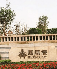 扒江北农场片区,凤凰湾、国奥村和壹江城的优缺点,求意见