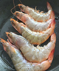 跟团的海鲜质报,虾子值得买买买