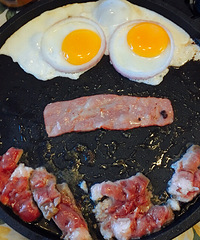 �ڼ����ƺ��������գ����ͼ�����׺óԵ�������