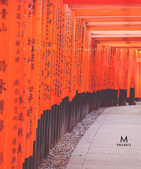 �ձ�12�������У��������������������������š���ʿɽ������