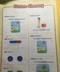 真实的美国公立小学