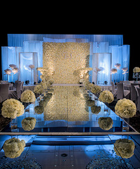 лл㣬ŷƻ20163ռǡ