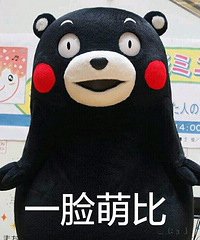 纠结了好久的早教:辰星和美吉姆选哪个?