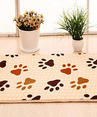 8.23һСֻ̺Ҫ9黹ʣȯɵ5Ԫ