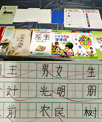 为练字,买过了十几本字帖