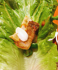 �ռҺ����ն������ô���ڣ����кóԵ������ը���棡o