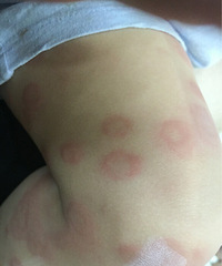 ����λ����֪���Ҽ�С�����ǳ���ʲô������