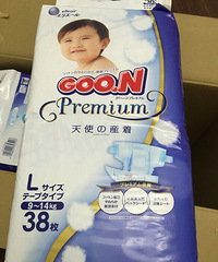 ���ԵĴ�����ʹL��