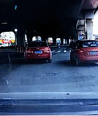 碰瓷都这么认真了?