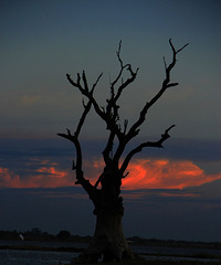 ǧǧ鴿֮--Ѹʡգȫ깤