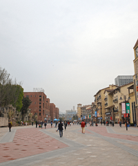 准备换个大点房子,我想买在大学城,但大家都说那边不方便