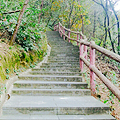重庆近郊最美步道