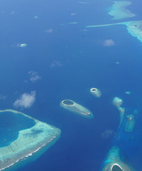 ��ӰС�׵���������֮�á�����2016�����δ�������������ϣ�