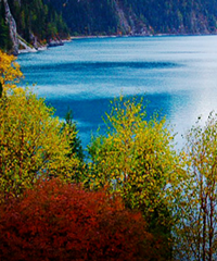 ��ɹһɹ������εأ�˵������ż����