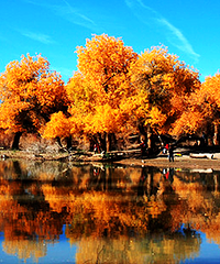 ɹ�����μǣ�Ӯд�桢������ȯ