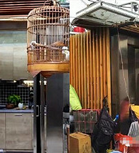 梦想改造家后续,他们的生活被打回原形