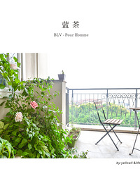 龙湖江与城-喵喵咩咩窝养成日记 毕业照上新