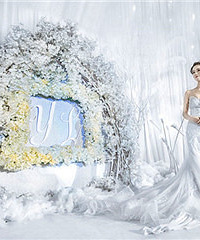 纯净的冰雪奇缘婚礼,婚礼花费很惊喜