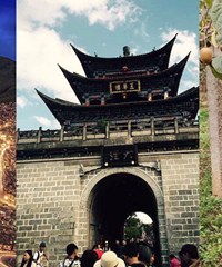 ������һ����Ƭ��˵��������ڸ�ɶ