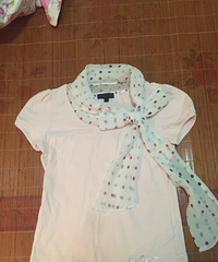 ϲ������˽��