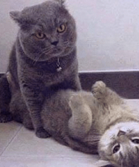 ӵһǿŮƱʲôܣо屻Ϳ