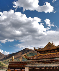 1200Ԫ������ȥ��֮�ϡ���֮��ɢɢС��������2016�����δ�����