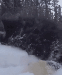 见了雪就把持不住了,我就是这样的狗