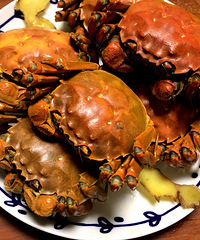 ˺óԵĴբзƺ͸òҪҪģ