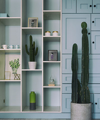 ŷǰֵ޷ܾɫջ2016-3Ҵ