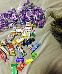 ������Ƥ�ǣ���Ҳ���Ƽ�һЩ�ҳԹ��ĺóԵ�ϲ�ǣ����۸�+��ַ