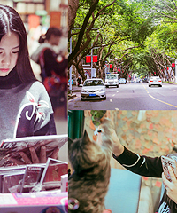 重庆最美街道,冬日拍照好去处