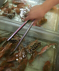 资深吃货带你吃遍三亚滴海鲜排挡