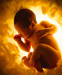 Сsummer�ĵ�ʮ�졫