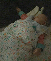 睡神养成记