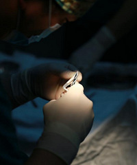 �������ռǡ�����5����������˫��Ƥ��������ڴ�������е�����