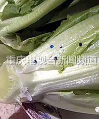 速看!重庆多个超市都发现了,菜叶里面惊现神秘蓝色颗粒!