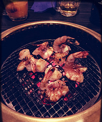 ����è����һ���Ժ����־�δ����������~���Ѹ��꡿