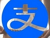 一个钱包搞出来的花样,支付宝变支付鸨事件的来龙去脉