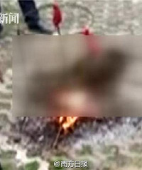 人神共愤!男子当街活活烤死自己养大的狗