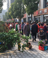 城头也有赶场天,来说说重庆主城还有哪些地方可以赶场哦?