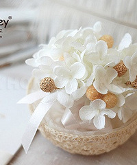 ��Ҳ�����������ղؼ����ϲ�Ǻ������