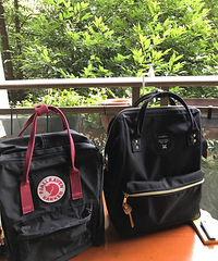 ��������һö�Լ۱ȳ��ߵı������ȱ���������ร���