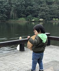 #豆豆周末记#太阳太阳我想你~雾霾君你何时歇息呢