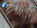 点外卖吃出“怪物”