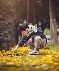 秋天,金黄满地,拾一片树叶,留下一段回忆。
