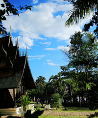 love in Chiang Mai