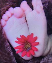 ϲ������ʵ�ݵ�ѡ�����Ҹ������ľͺ���