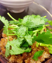 �����ؿ�ζ ��ֱͣ������