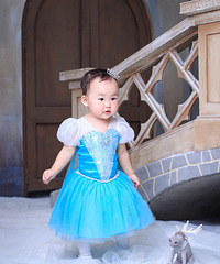 ��ʿ��������